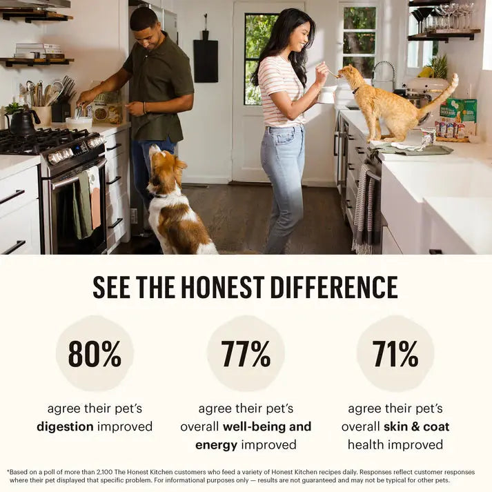 The Honest Kitchen Wet Dog Food - One Pot Stews: Braised Stew of Ranch - Raised Beef and Grass - Fed Lamb with Green Beans and Sweet Potatoes, 6 Pack of 10.5oz Cans