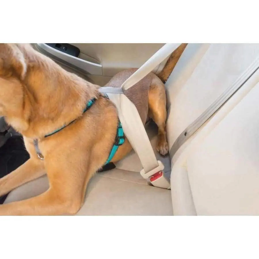 PetSafe All - in - One Three - Function Dog Harness for Ultimate Comfort and Safety