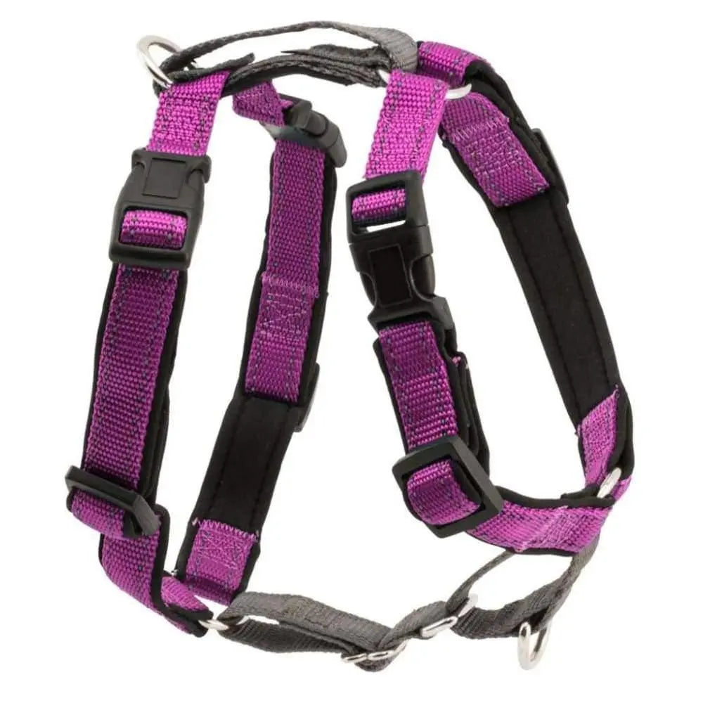 PetSafe All - in - One Three - Function Dog Harness for Ultimate Comfort and Safety