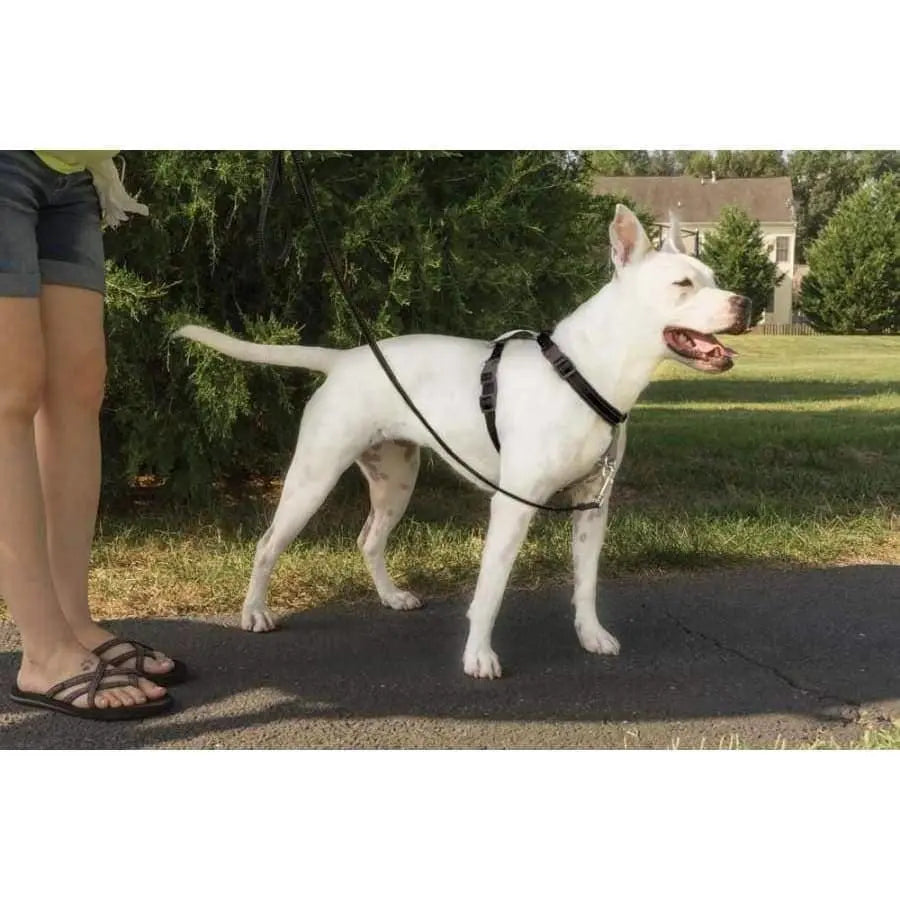PetSafe All - in - One Three - Function Dog Harness for Ultimate Comfort and Safety